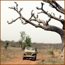 jeep baobab piste